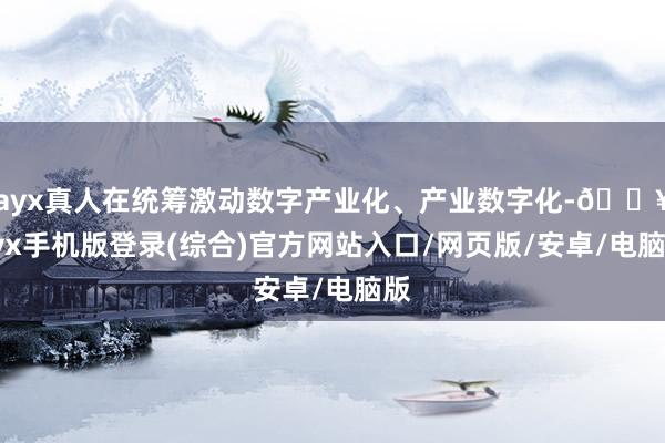 ayx真人在统筹激动数字产业化、产业数字化-🔥ayx手机版登录(综合)官方网站入口/网页版/安卓/电脑版